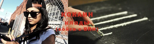 ПСИЛОЦИБИНОВЫЕ ГРИБЫ Абаза